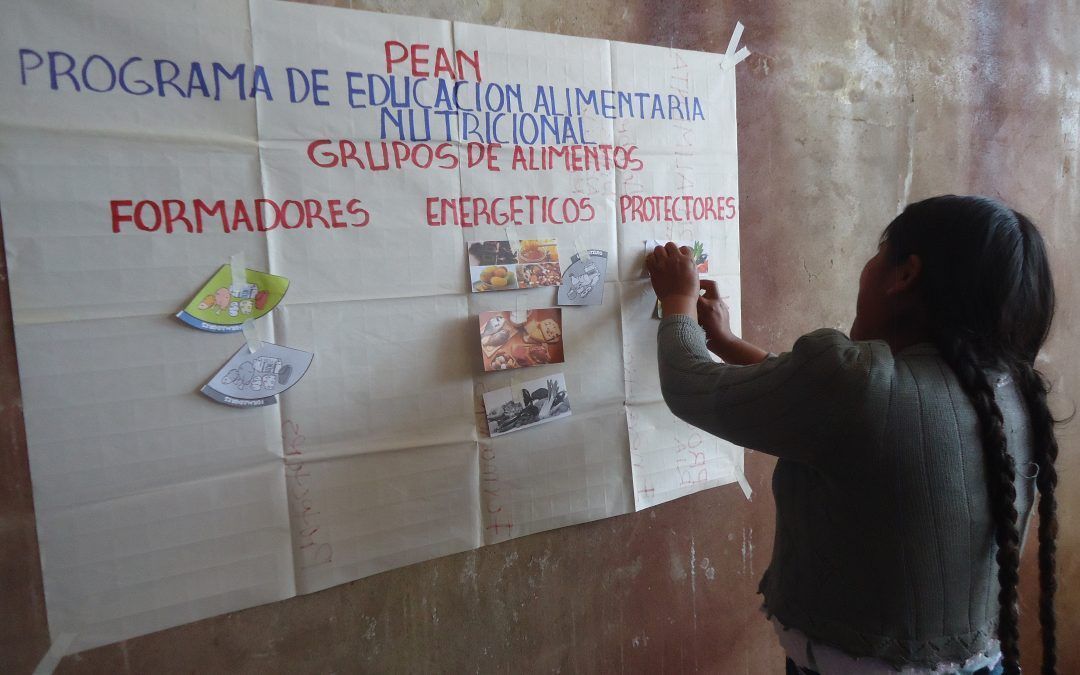 Bolstering and consolidating the commercial activities of production and economic associations of women and mixed sexes for food sovereignty and the economic empowerment of women in districts 6 and 7 of the Sucre municipality, Phase II.