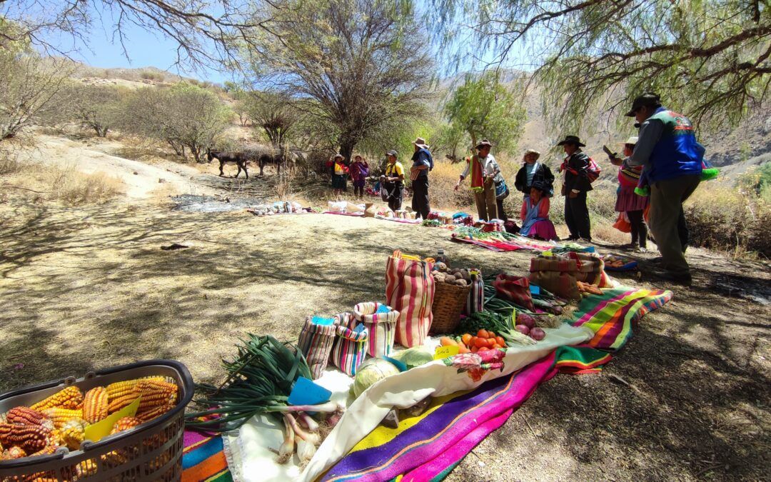 Impulsando desarrollo económico local sostenible con participación de mujeres para gobernanza y ejercicio de sus derechos en Ckochas