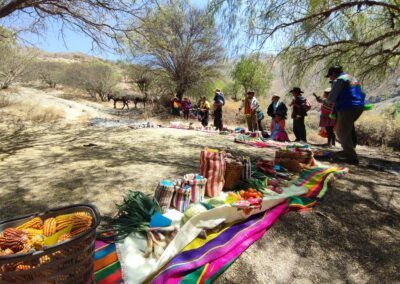 Impulsando desarrollo económico local sostenible con participación de mujeres para gobernanza y ejercicio de sus derechos en Ckochas