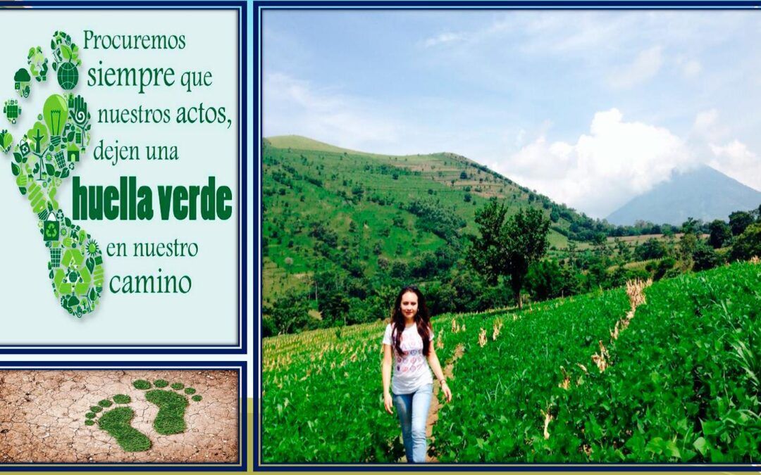 Mujeres empoderadas de Aguilares y El Paisnal ejercen sus derechos, fortaleciendo su soberanía alimentaria con enfoque agroecológico