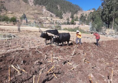Promoviendo la seguridad alimentaria y la resiliencia ambiental con equidad de género frente a la crisis climática, con Ayllus indígenas originarios del distrito de Chacaya del municipio de Pocoata