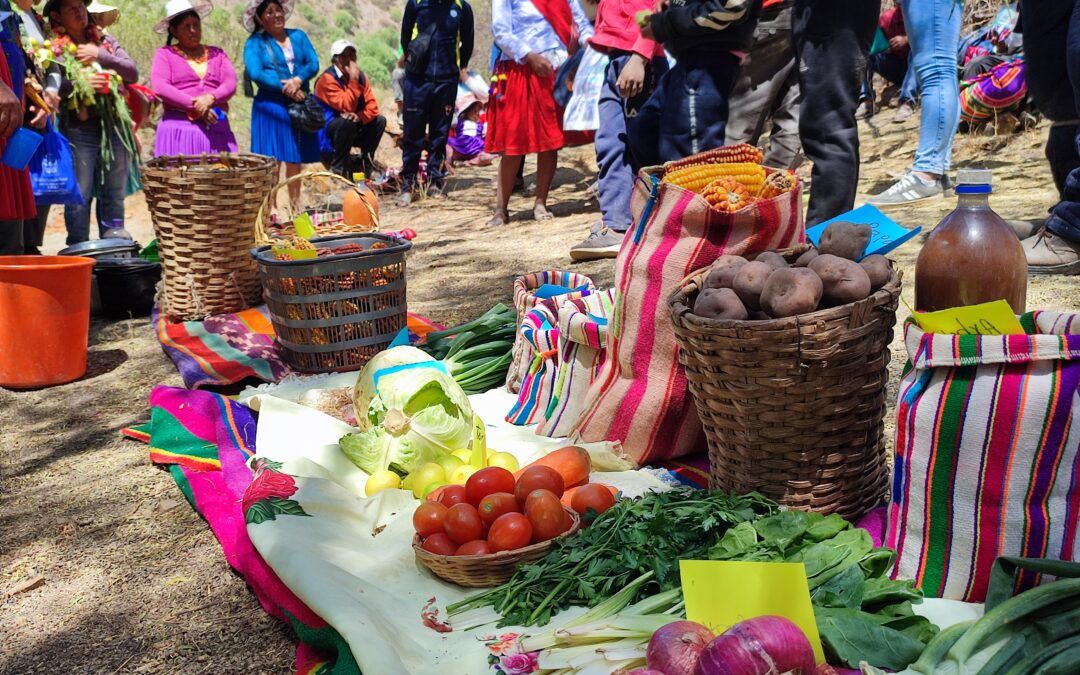 Impulsando la soberanía alimentaria frente a la crisis climática con resiliencia ambiental, equidad de género y masculinidades en comunidades del municipio de Poroma