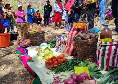 Impulsando la soberanía alimentaria frente a la crisis climática con resiliencia ambiental, equidad de género y masculinidades en comunidades del municipio de Poroma