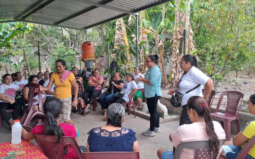 Fortaleciendo las capacidades organizativas, participativas y económicas a mujeres y hombres rurales del Distrito El Paisnal, Municipio San Salvador Norte, El Salvador