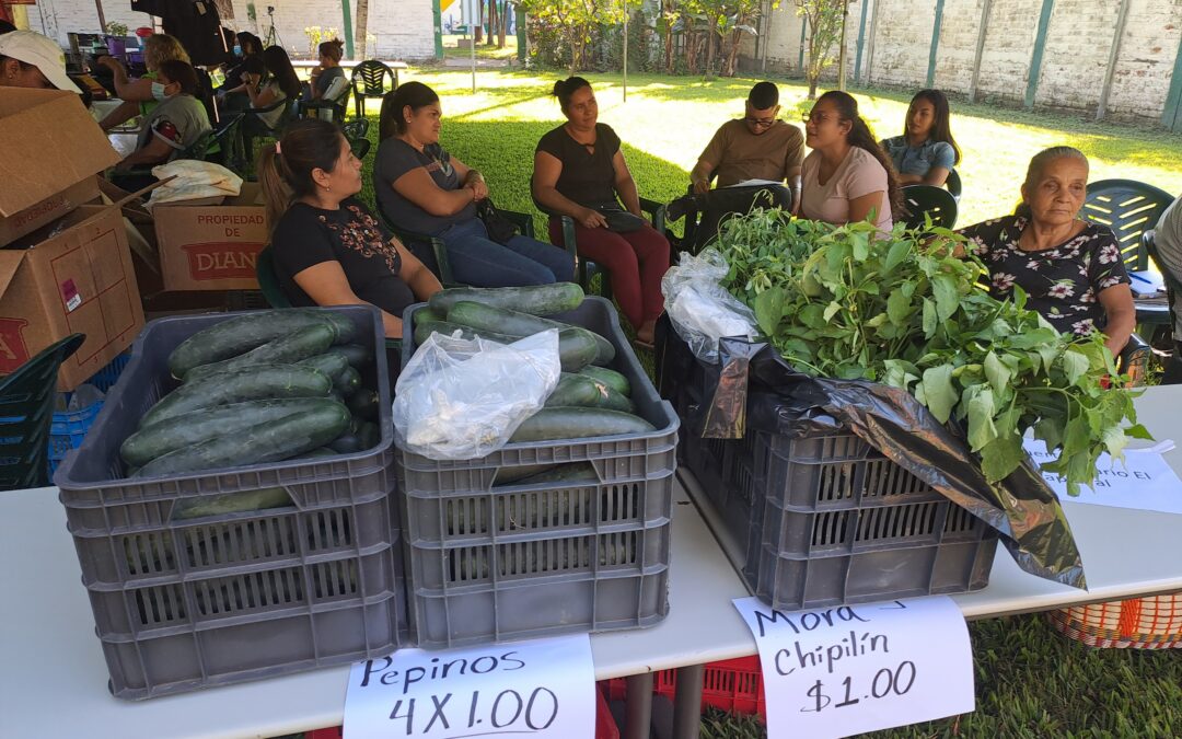 Soberanía alimentaria a través de un modelo saludable y solidario de producción, consumo y comercialización resiliente al cambio climático por mujeres rurales empoderadas y organizadas del Distrito El Paisnal y Aguilares, Municipio San Salvador Norte.