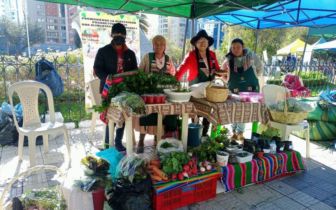 Soberanía Alimentaria y Cuidado del Agua desde el protagonismo de mujeres y jóvenes de barrios periurbanos del Distrito 7 del municipio de Viacha.