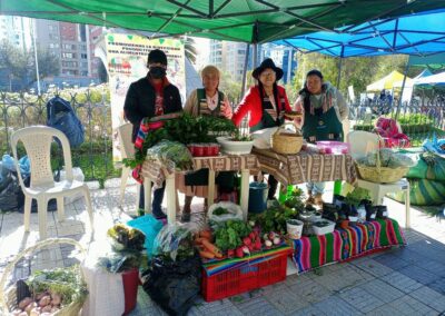 Soberanía Alimentaria y Cuidado del Agua desde el protagonismo de mujeres y jóvenes de barrios periurbanos del Distrito 7 del municipio de Viacha.